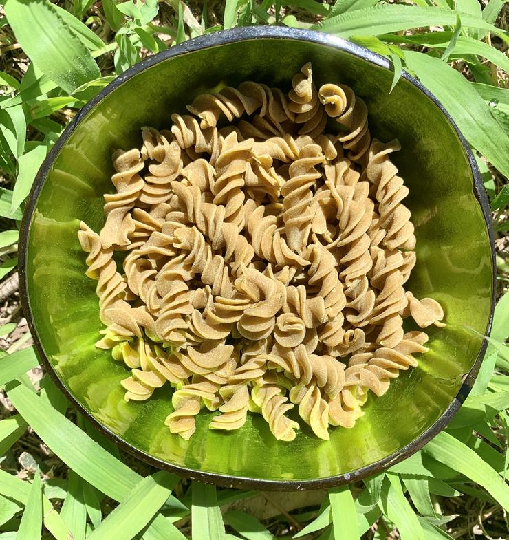 High Protein Cricket Pasta
